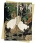 Ashmolean Museum: Cranes, Cycads & Wisteria Greeting Card Pack - Pack of 6