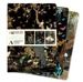 Ashmolean Museum Set of 3 Standard Notebooks