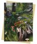 Anna Stead: Deep in the Forest Greeting Card Pack - Pack of 6