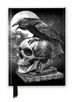 Alchemy: Poe's Raven (Foiled Journal)