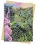 Annie Soudain: Foxgloves and Finches Greeting Card Pack - Pack of 6