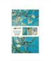 Vincent van Gogh: Blossom Set of 3 Mini Notebooks