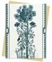 Annie Soudain: Summer II Greeting Card Pack - Pack of 6
