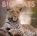 2027 Big Cats Wall Calendar - Art Wolfe's Wild Lives